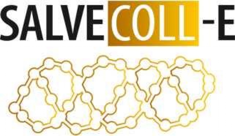 ���������� ����������� - ��������������� ��������� ��������